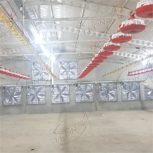 Good Quality Broiler Pan Feeding System