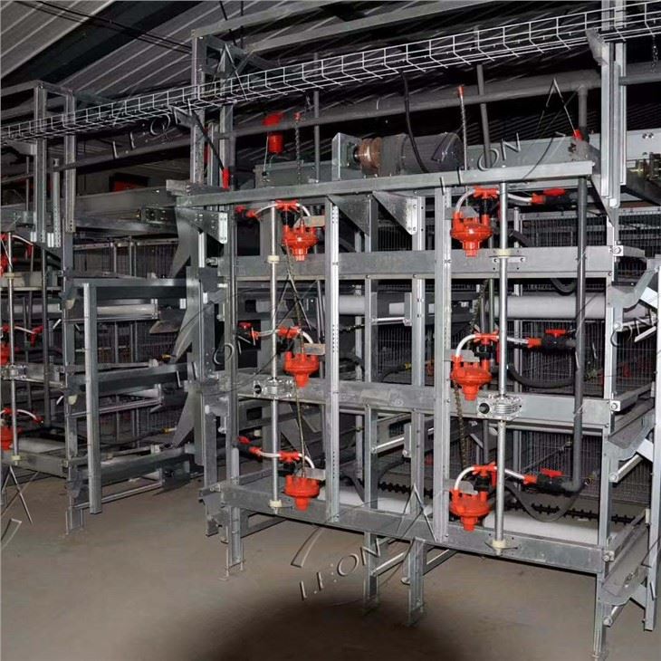 Poultry Farm Equipment Chicken Cage H Type Broiler House System Poultry Farming